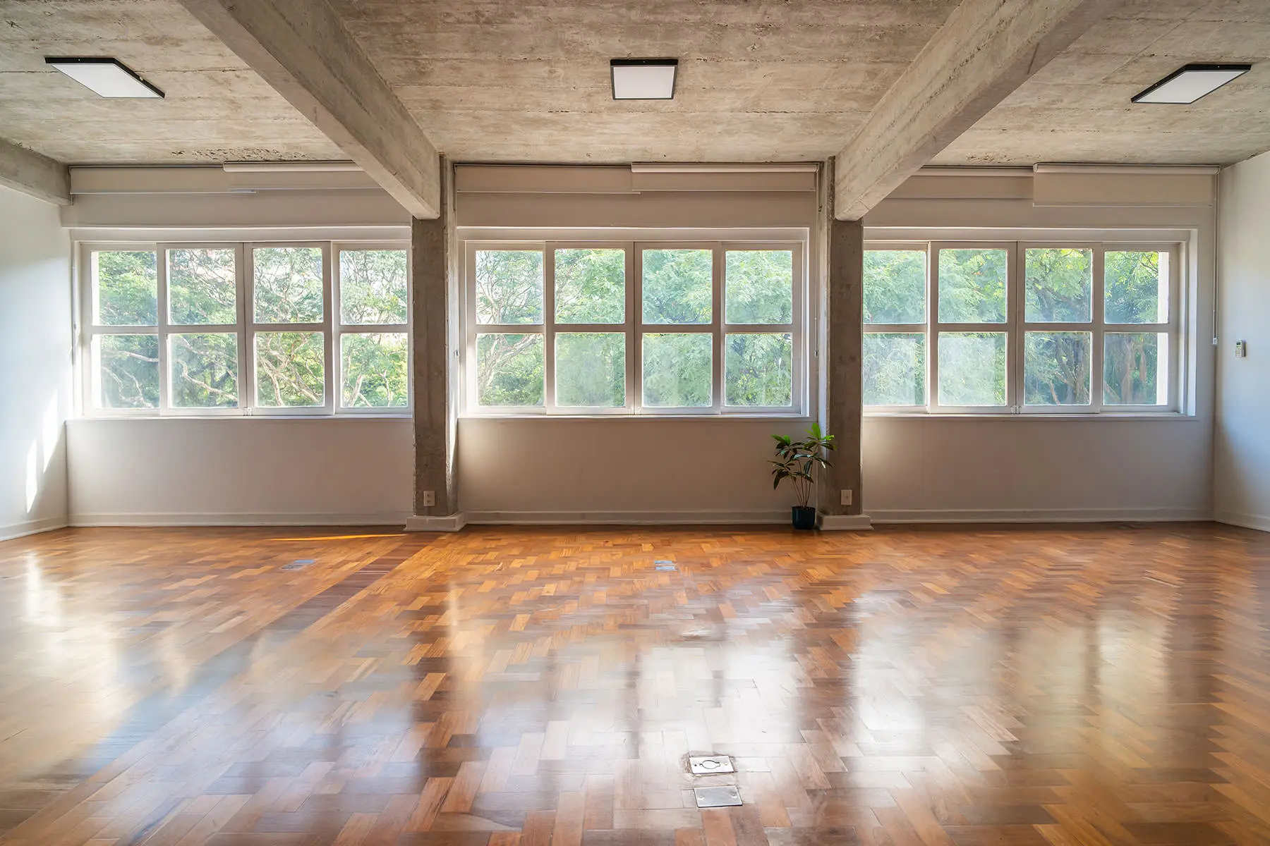 Ambiente de luz natural do estúdio: três janelas amplas com vista para árvores, piso de tacos de madeira e área livre
